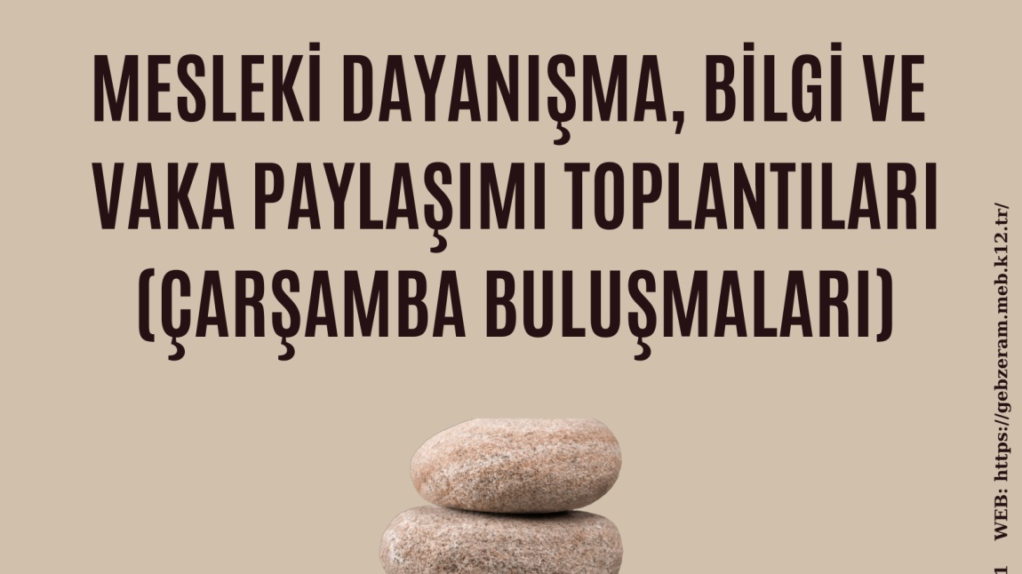 Mesleki Dayanışma,  Bilgi ve Vaka Paylaşımı Toplantıları (Çarşamba Buluşmaları)