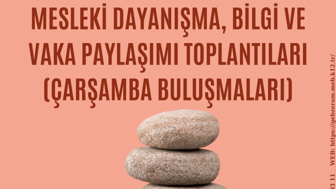 Mesleki Dayanışma,  Bilgi ve Vaka Paylaşımı Toplantıları (Çarşamba Buluşmaları)