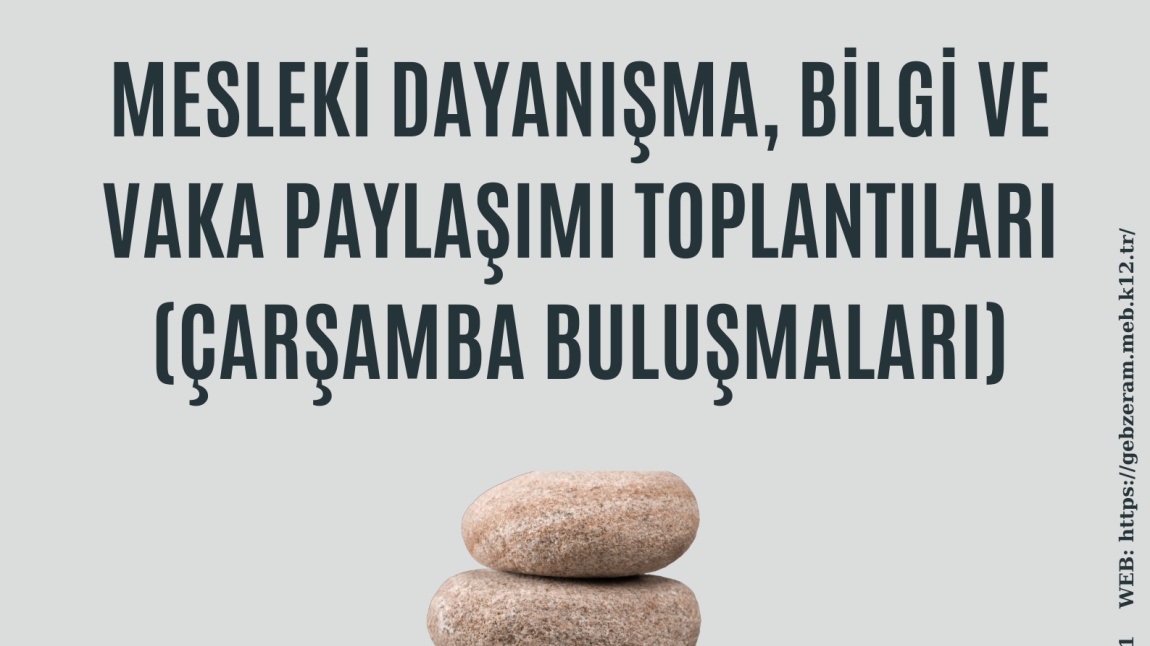 Mesleki Dayanışma,  Bilgi ve Vaka Paylaşımı Toplantıları (Çarşamba Buluşmaları)