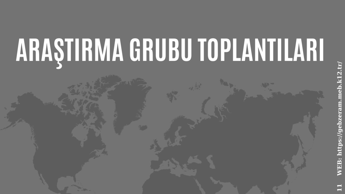 Araştırma Grubu Toplantıları